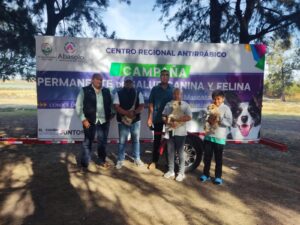 joya de calvillo (1)