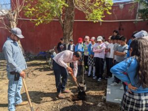 arborizacion-el-varal-3