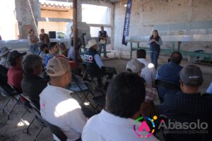 Seleccionadora_Limon_4
