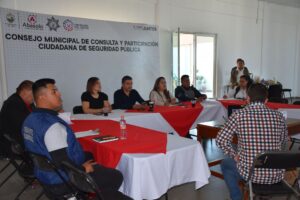 consejo-seg-pub-3