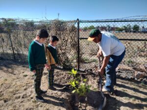 arborizacion-j-de-n-joaquin-10