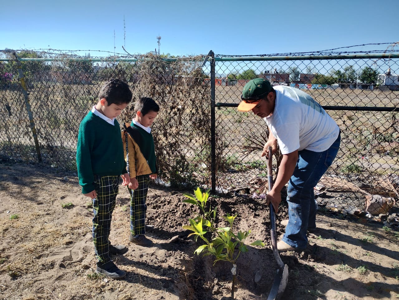 arborizacion-j-de-n-joaquin-10