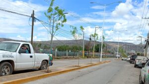 abasolo-verde-col-juarez-7