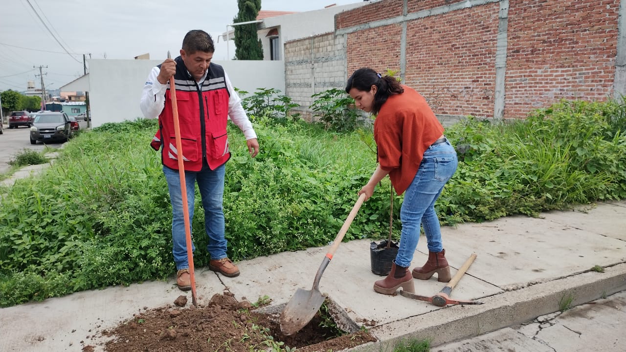 arborizacion-lomas-de-sta-maria-7