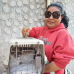 SSG  realiza esterilización de 282 mascotas en el municipio de Pénjamo.